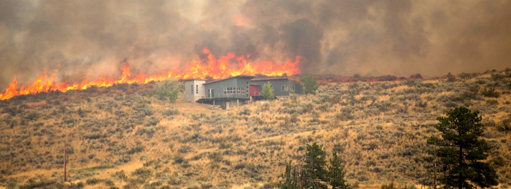 House caught in the forest fire