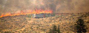 House caught in the forest fire