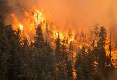 BC Record-Breaking Fire Season