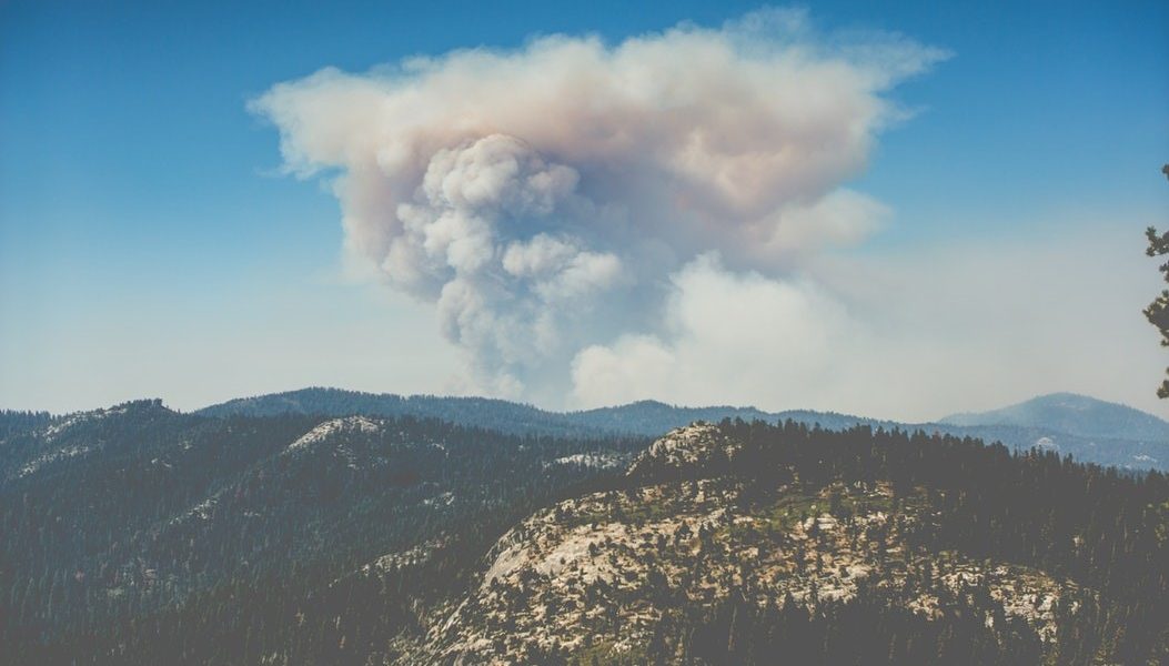 The Effect of Wildfires on Air Quality