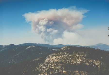 The Effect of Wildfires on Air Quality