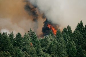 Wildfires in British Columbia