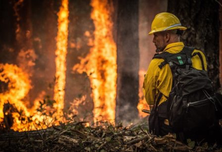 British Columbia Wildfire