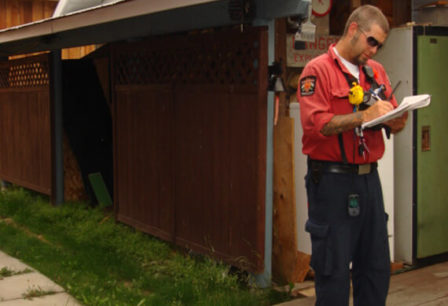 wildland firefighting consulting