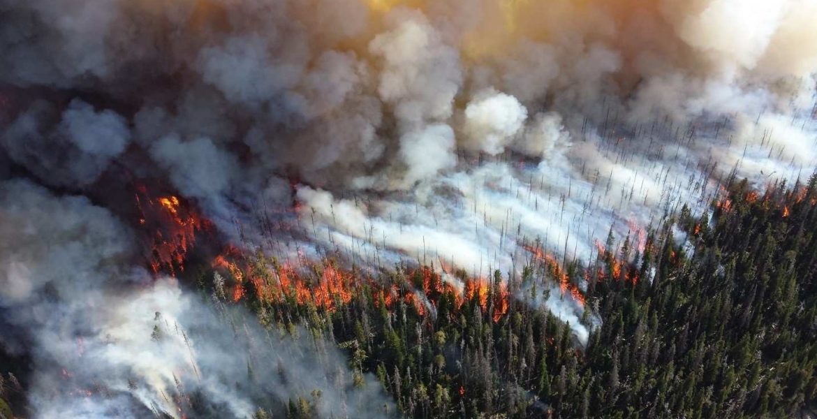 Herbicides and Wildfires