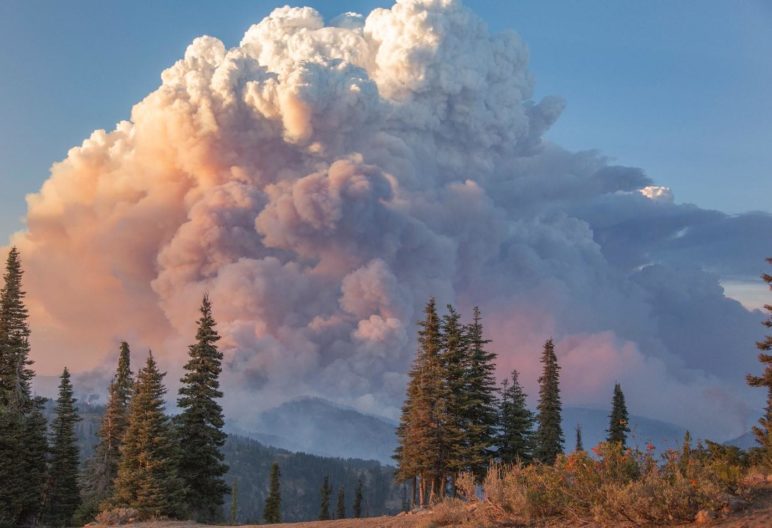 Thunderstorms And Wildfires