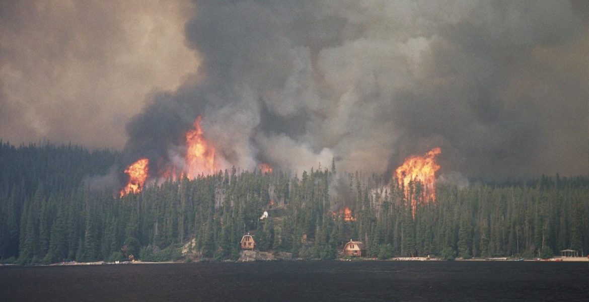 A wildfire approaching houses.