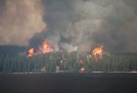 A wildfire approaching houses.