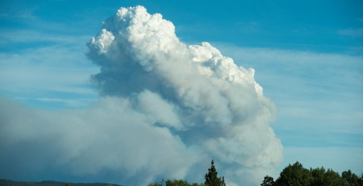 Smoke billowing into blue sky above a forest.