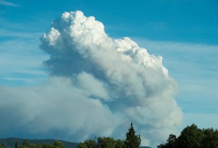 Smoke billowing into blue sky above a forest.