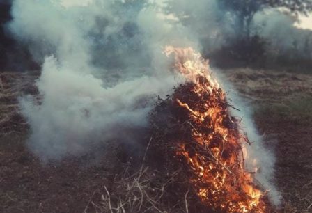 Pile of brush on fire.