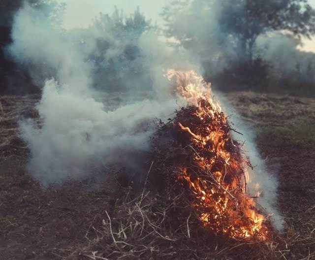 Pile of brush on fire.