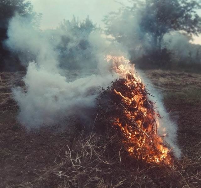 Pile of brush on fire.