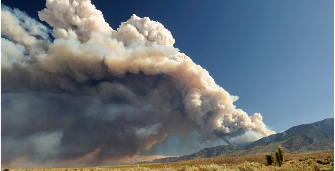 Smoke rising into the air from a wildfire.