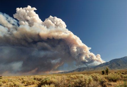 Smoke rising into the air from a wildfire.