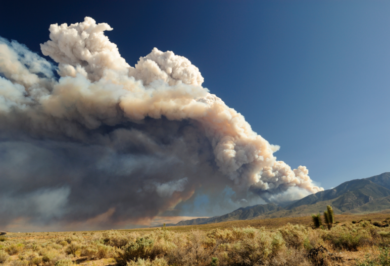 Smoke rising into the air from a wildfire.