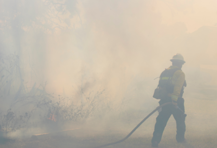 Firefighter standing in a smoky forest.