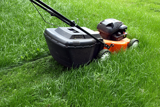 A lawnmower running through tall grass.