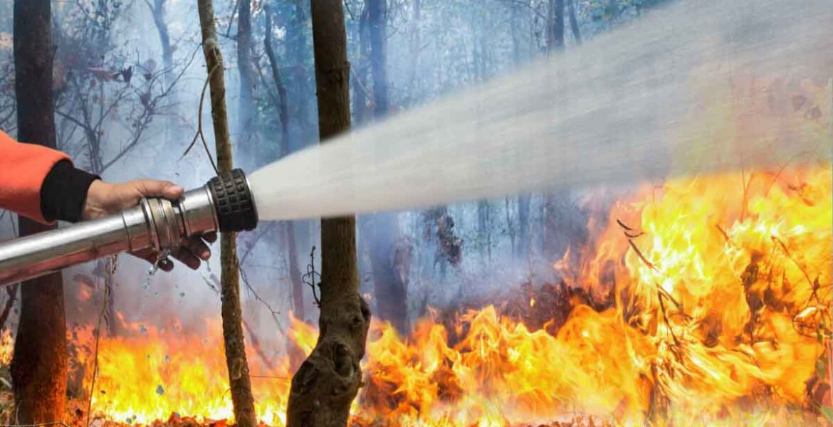 Firefighter using a hose to suppress a forest fire