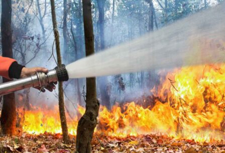 Firefighter using a hose to suppress a forest fire