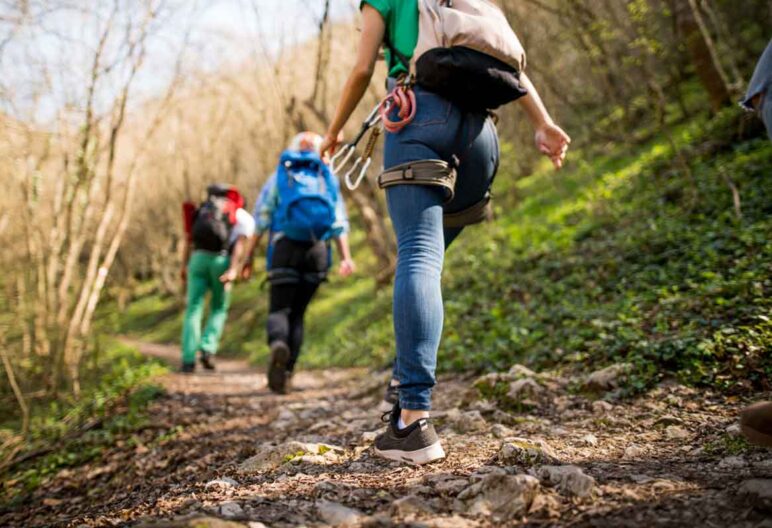 Three hikers on a trail