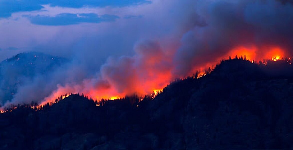 forest fire burning at night.