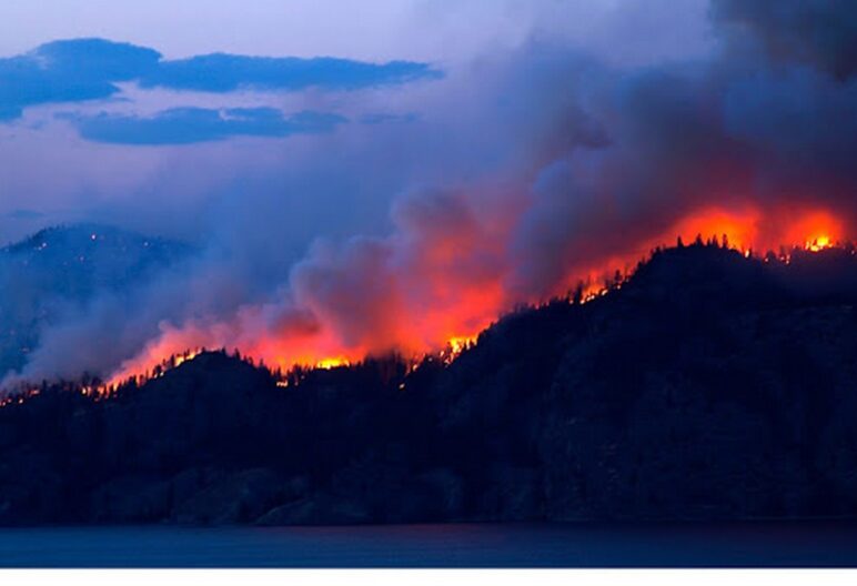forest fire burning at night.