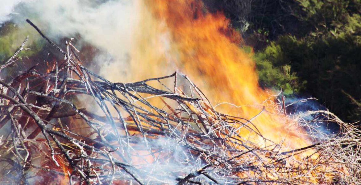 trees and sticks on fire as part of controlled burns.