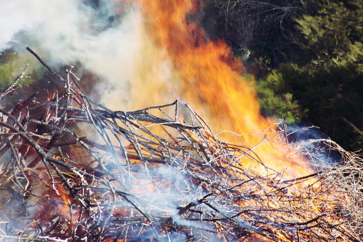 Why Fire Crews Use Controlled Burns SPIEDR™