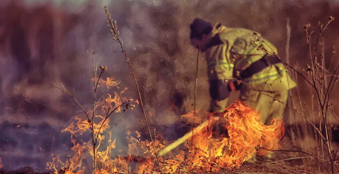 Firefighter puts out wild fire