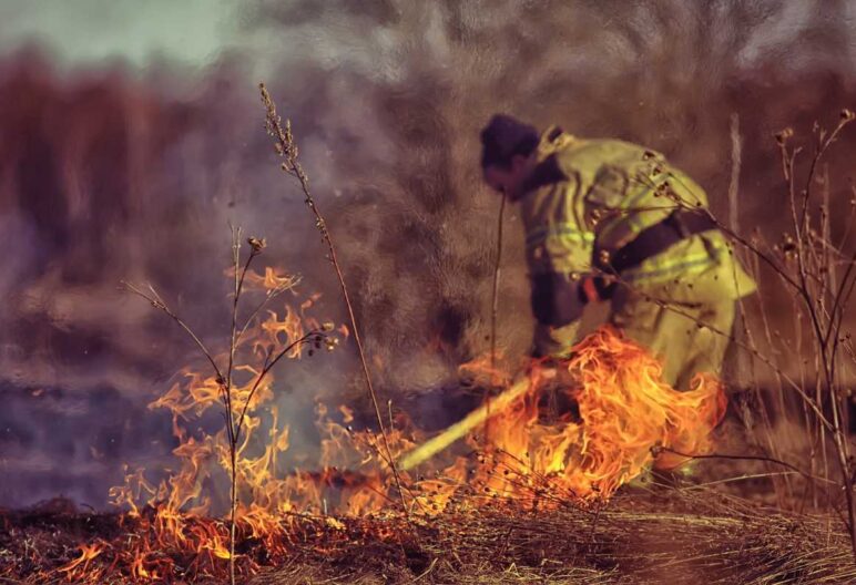Firefighter puts out wild fire