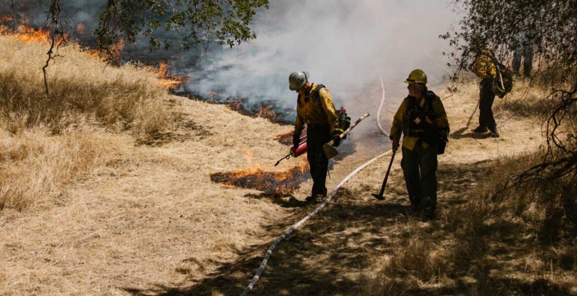Wild land Firefighters working in a dry grassy area