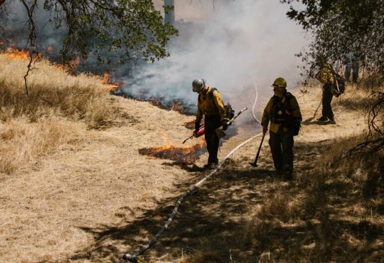 Wild land Firefighters working in a dry grassy area